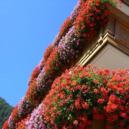 Hotel Alpenrose B&B Suites&Apartements-3