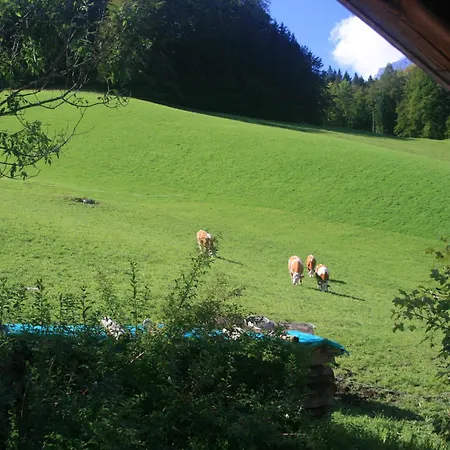 Alpenhotel Beslhof-3