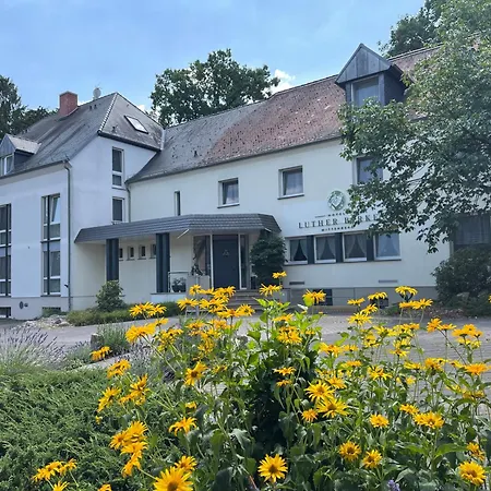 Hotel Luther Birke Wittenberg-3