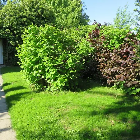 Pension Säntisblick-3