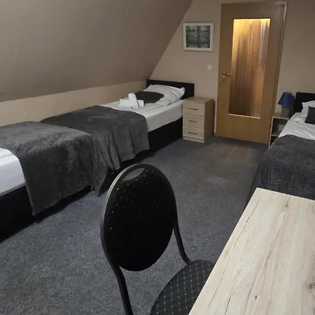 Hotel-Gasthof Alter Ritter-3