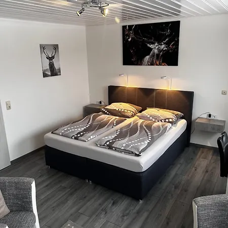 Hotel Brunnenbach-2