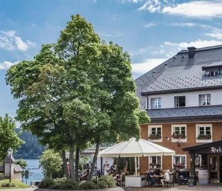 Hotel Schiff am Schluchsee-3