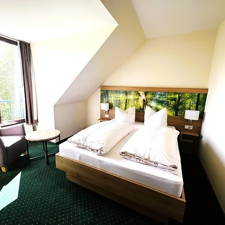 Hotel Schwartze-2