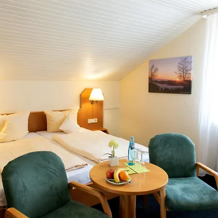 Hotel Fernblick-2