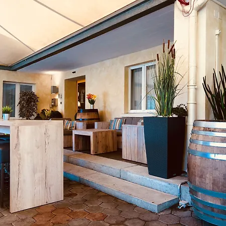 Hotel Felmis-3