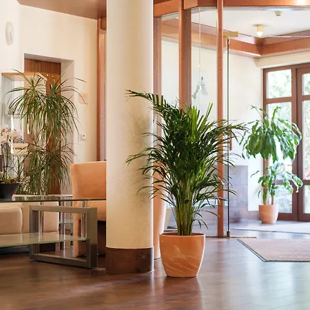 Hotel Flora Möhringen-3