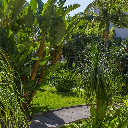 Dorisol Buganvilia Studio Hotel-2