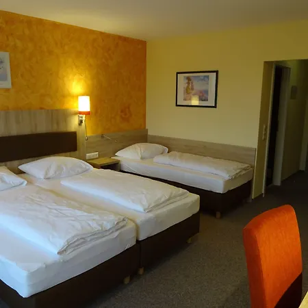 Gasthof Hotel Zum Ross-2