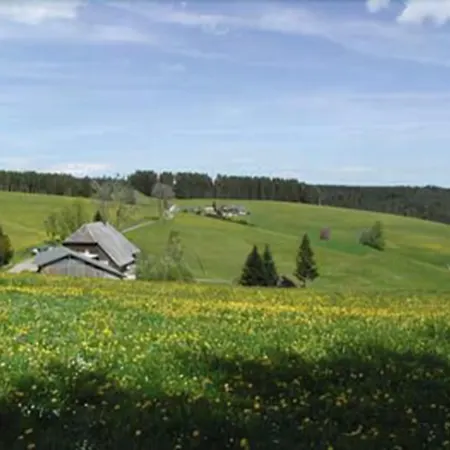 Café-Pension Feldbergblick-3