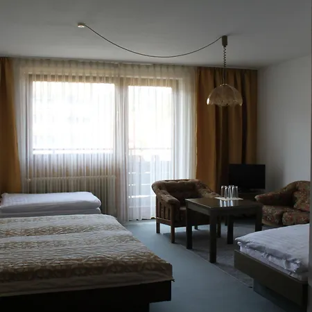 Hotel Stadt Gernsbach-3