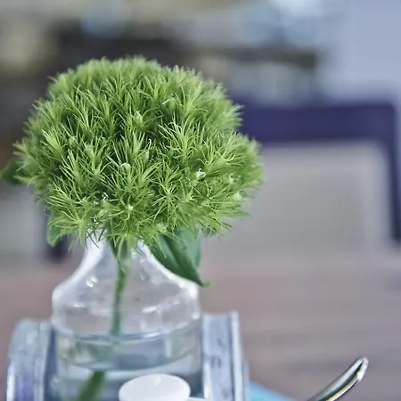 Hotel Elch Boutique-3