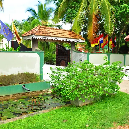 Bougain Villa-2