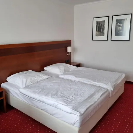 A&S City Hotel Am Rosenpark-3