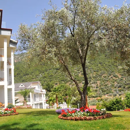 Morina Deluxe Hotel-2