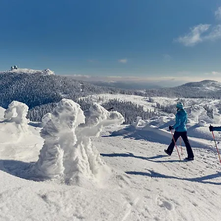 Berghotel Mooshütte Naturidyll auf 950m-3