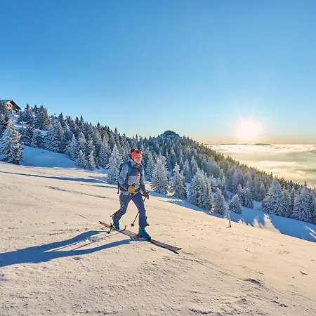 Berghotel Mooshütte Naturidyll auf 950m-2