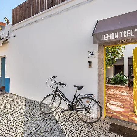 Lemon Tree Stay-3