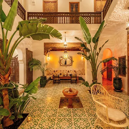 Riad Yamina52-2