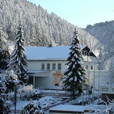Altes Doktorhaus - Hotel Garni-3