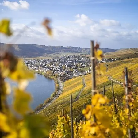 Rieslingquartier - Mosel Wein Hotel-2