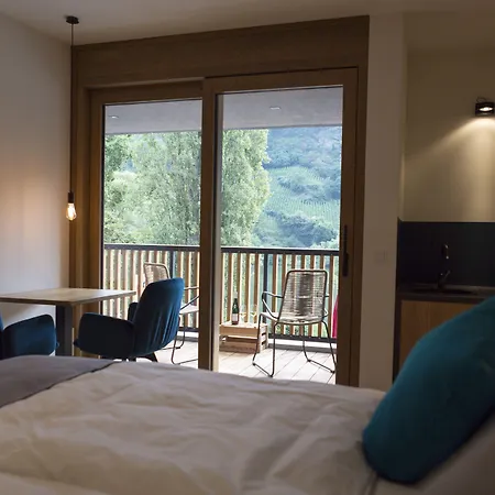 Rieslingquartier - Mosel Wein Hotel-3