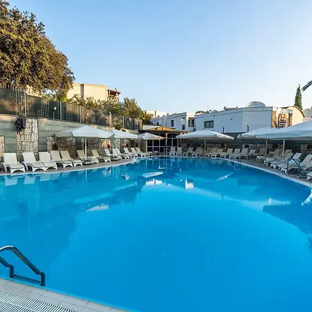 Afytos Bodrum City-2