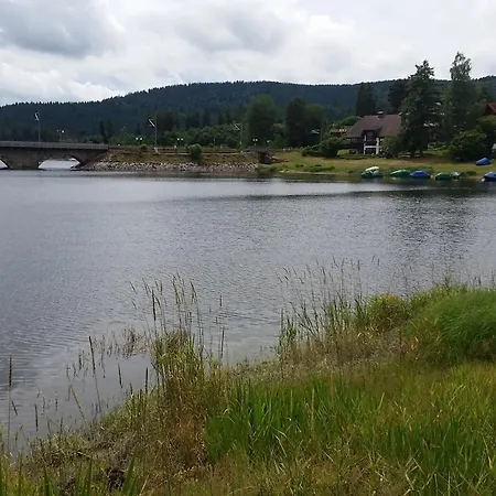 Hotel Pension am See-3