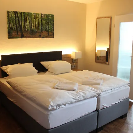 Hotel Waldrausch-2