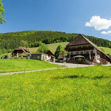 Landgasthaus Grüner Baum-3