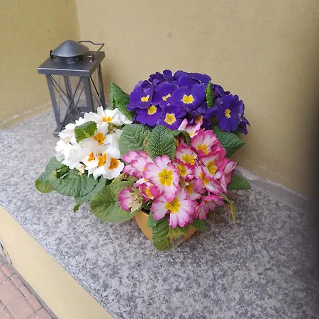 Hotel Del Fiume-2