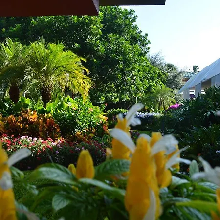 Collins Hotel Naples-3