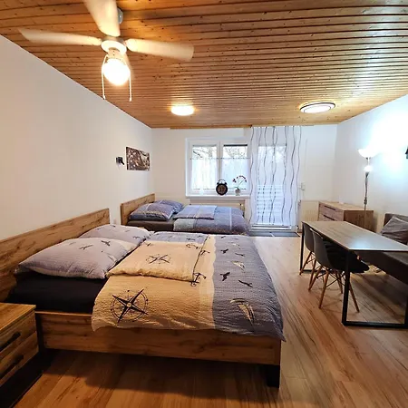 Pension Haus Erika-3