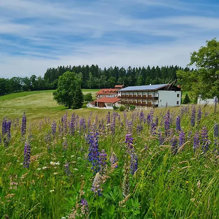 Osserhotel Garni-3