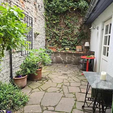 Pension Reuss - Hotel garni-2