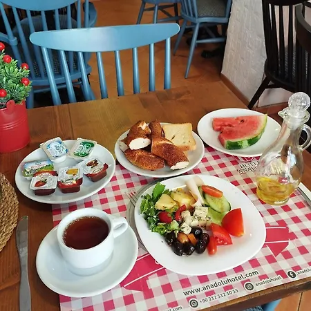 Anadolu Hotel-2