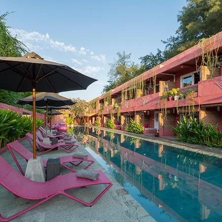 Pinkcoco Gili Trawangan - Constant Surprises - For Cool Adults Only-3