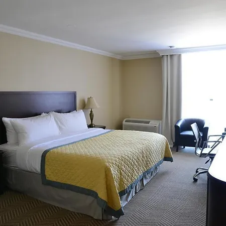 Edward Hotel North York-3