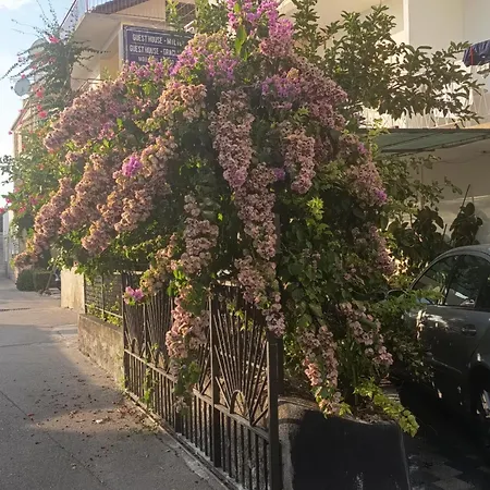 Guest House Milic-3