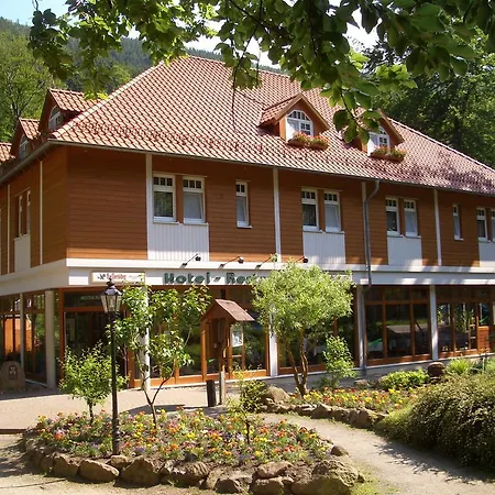 Kurpark Hotel Im Ilsetal-3