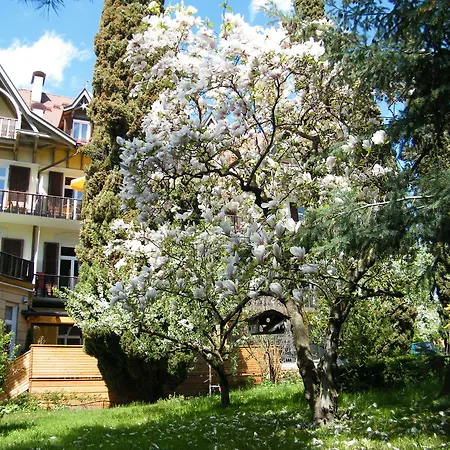 Hotel Angelica-2