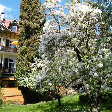 Hotel Angelica-3