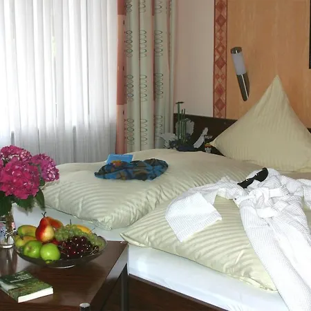 Allee Hotel Leidinger-3