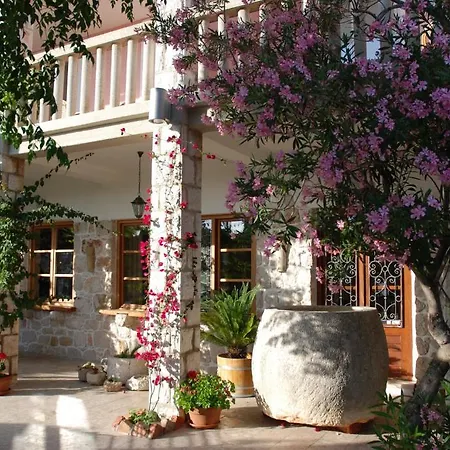 Hotel Villa Barbat-2