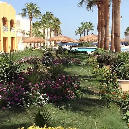 Aqua Fun Club-2