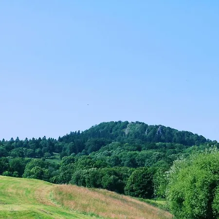 Hotel Garni Milseburg-3