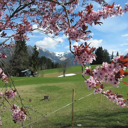 Gasthof Seeweg-2