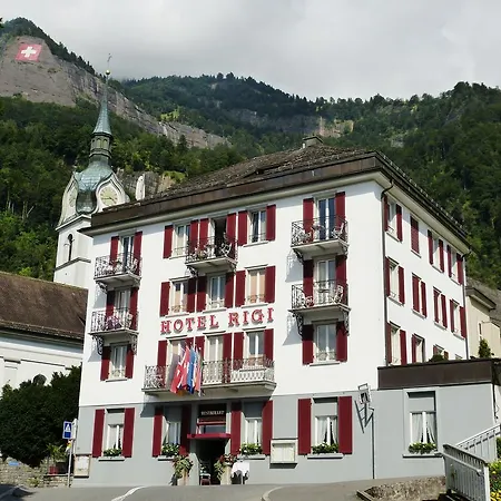 Hotel Rigi Vitznau-2