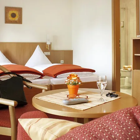 Hotel Rose Heidelberg inklusive Frühstück, Saunanutzung und Parkplätze nach Verfügbarkeit-3