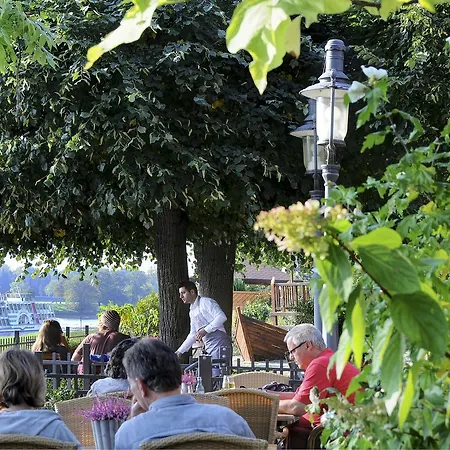 Elbterrasse Wachwitz-2
